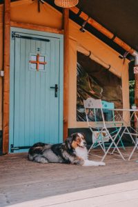 rendesglamping21